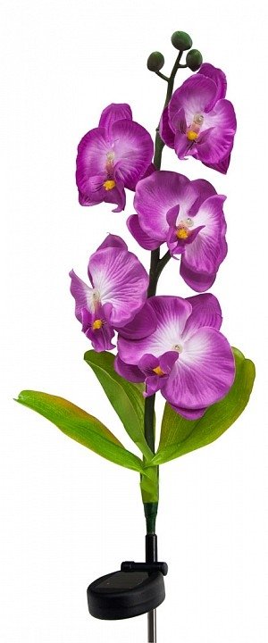Цветок Орхидея PL301 06229