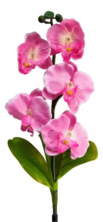 Цветок Орхидея PL301 06257