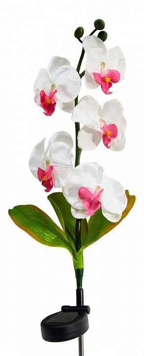 Цветок Орхидея PL301 06258