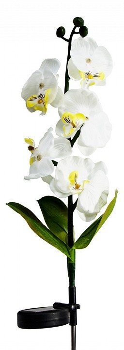 Цветок Орхидея PL301 06259